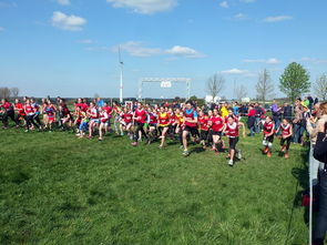 ac米兰中文官网-青少年体育社交平台互动行为研究，青少年体育文化